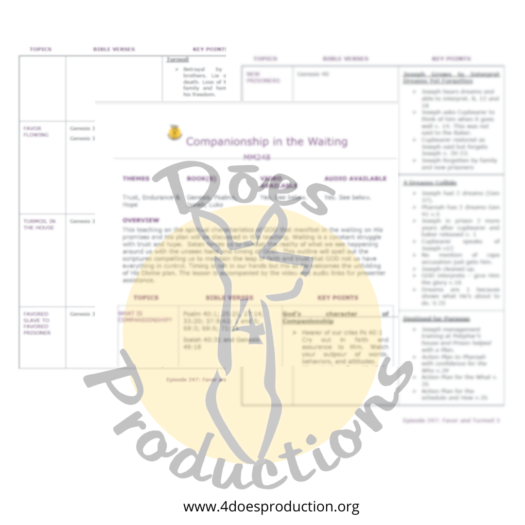 Compañerismo en la espera
