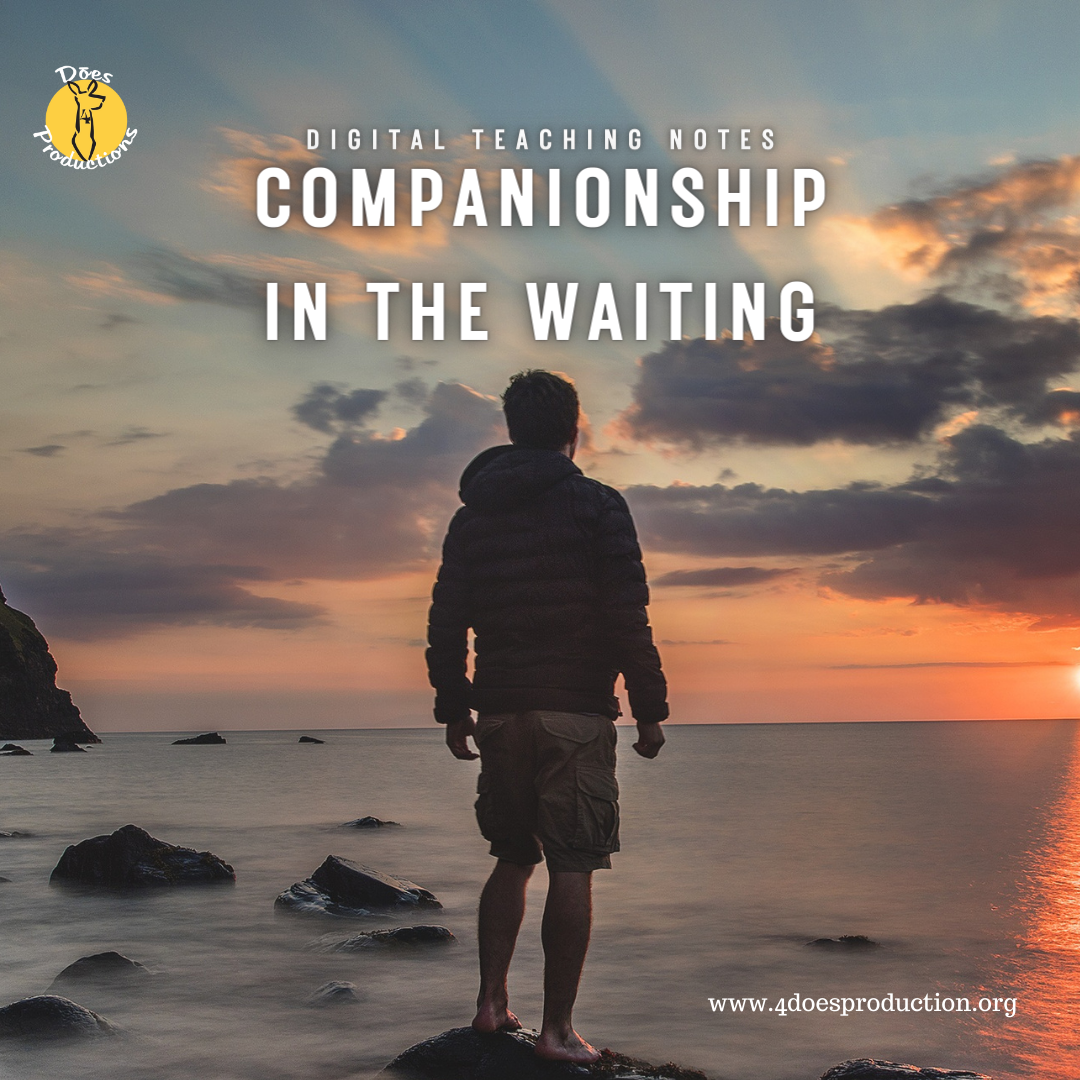 Compañerismo en la espera